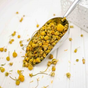 Country Chamomile  